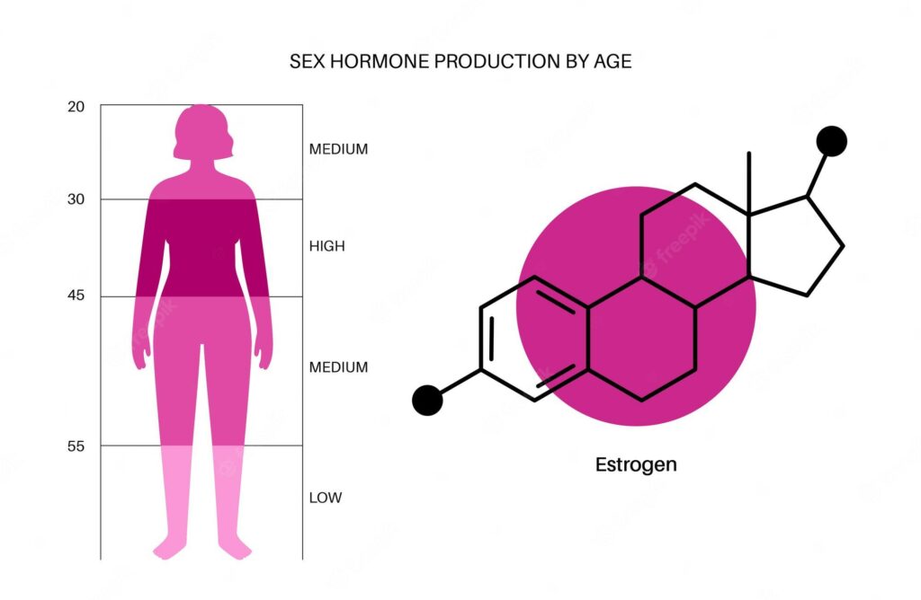 Hladiny estrogenu u žen v závislosti na věku