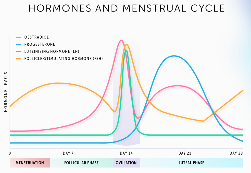 Graf hormonů v menstruačním cyklu